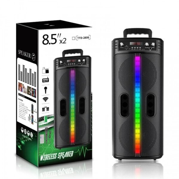 Караоке тонколона 30W TTD-2810 с два 8.5-инчови говорителя